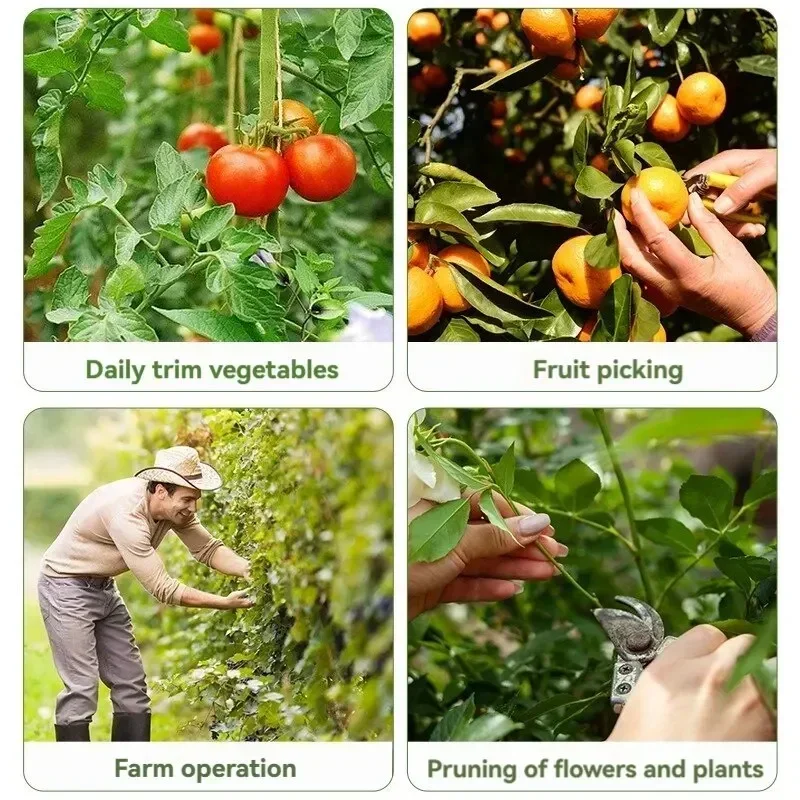 Thumb Picking Knife Gardening Finger Plant Fruit Vegetable Picking Knives Separator Pruning And Leaf Cutting Small Scissors