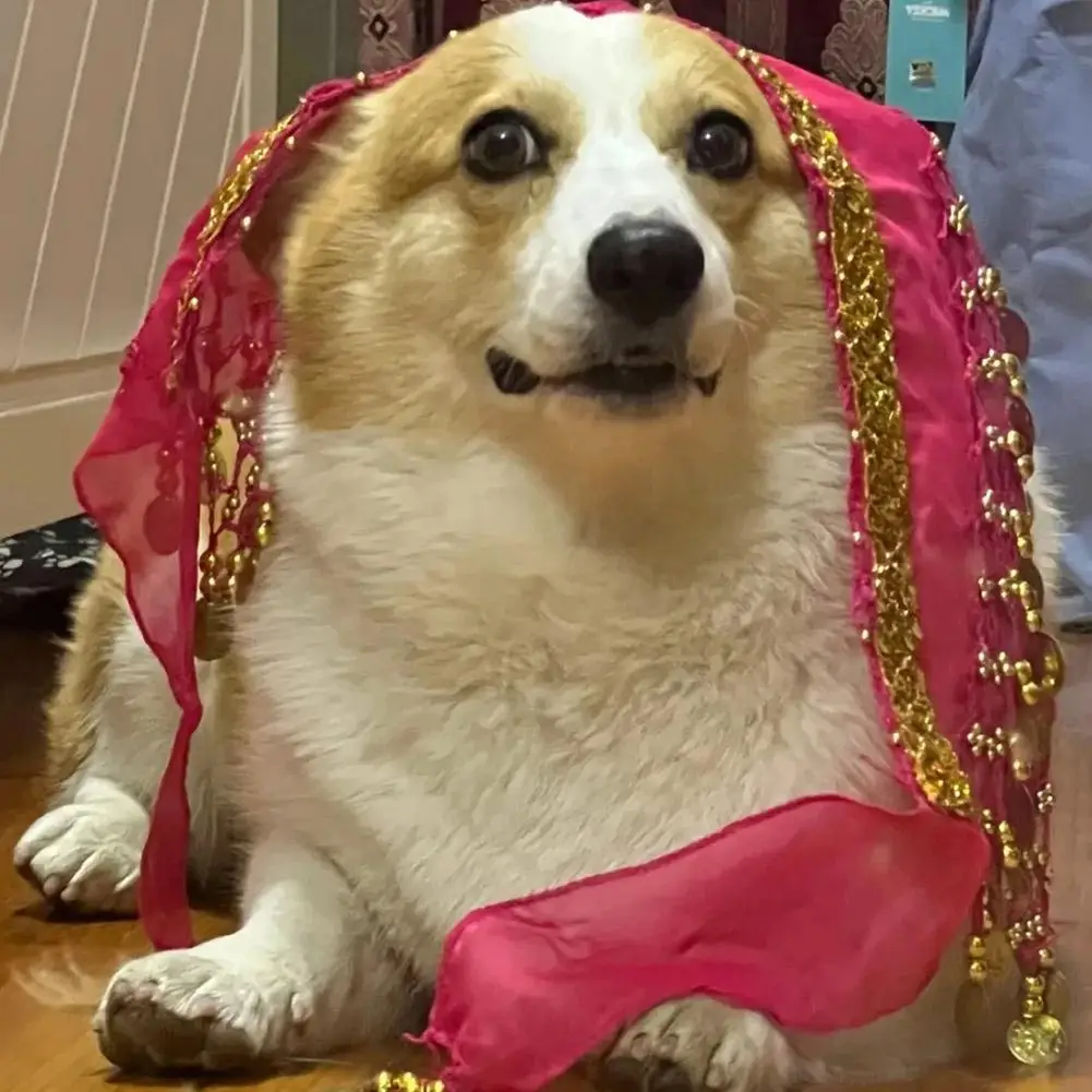 Dog Costume Set Dog Booty Shake Dance Booty Towel Decoration Pet Clothes Hip Wrap Pet Dance Scarf Belt Dancing Skirts Clothes Belly Cosplay