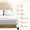 Egyptian Cotton Sheets for Queen Size Bed, Certified 800 Thread Count Queen sheet set, Luxury Sateen Weave Cotton Queen 6