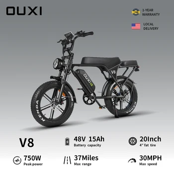 750W 2-Seater Electric Bike 1