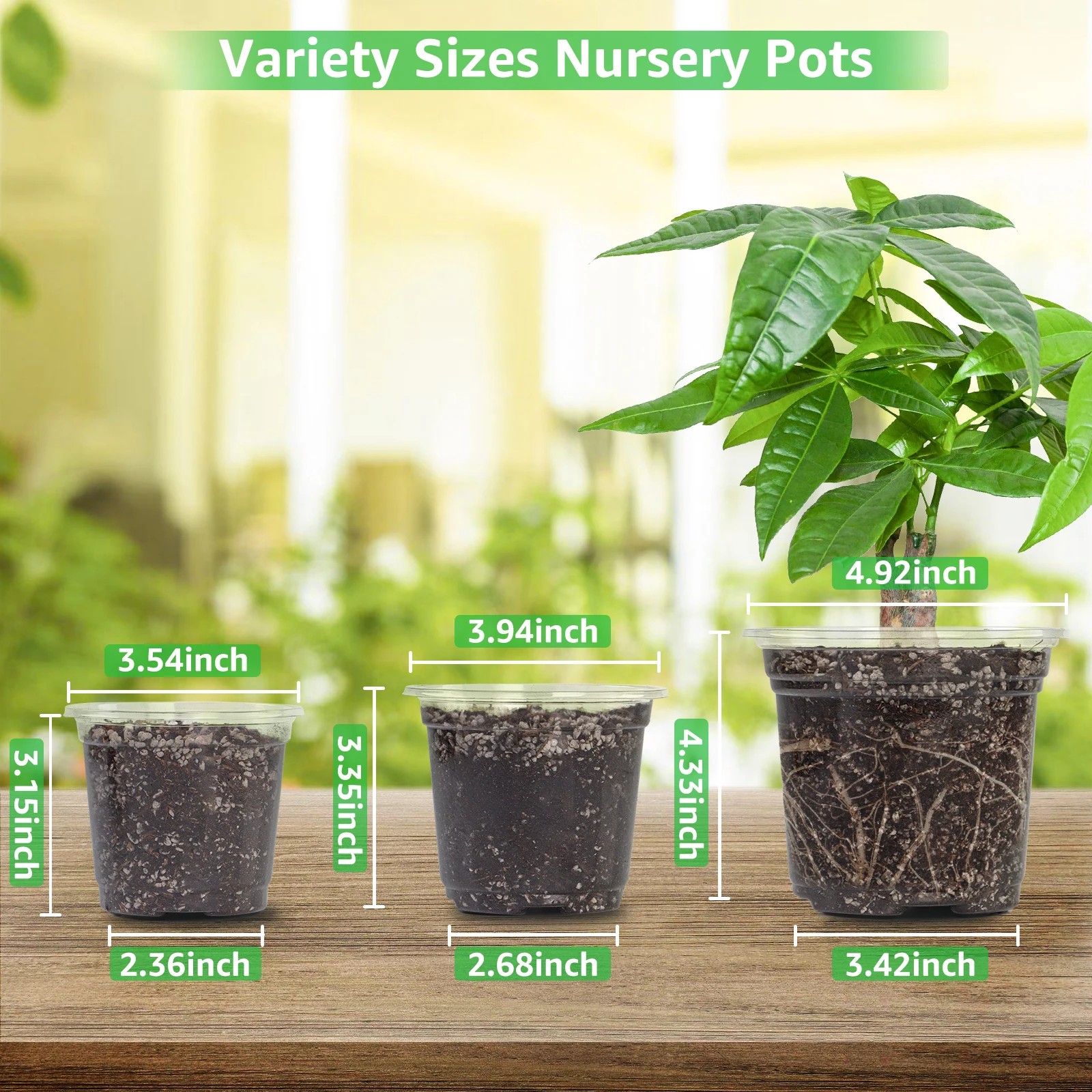 30 Packs 3.5/4/5 Inch Clear Nursery Pots, Transparent