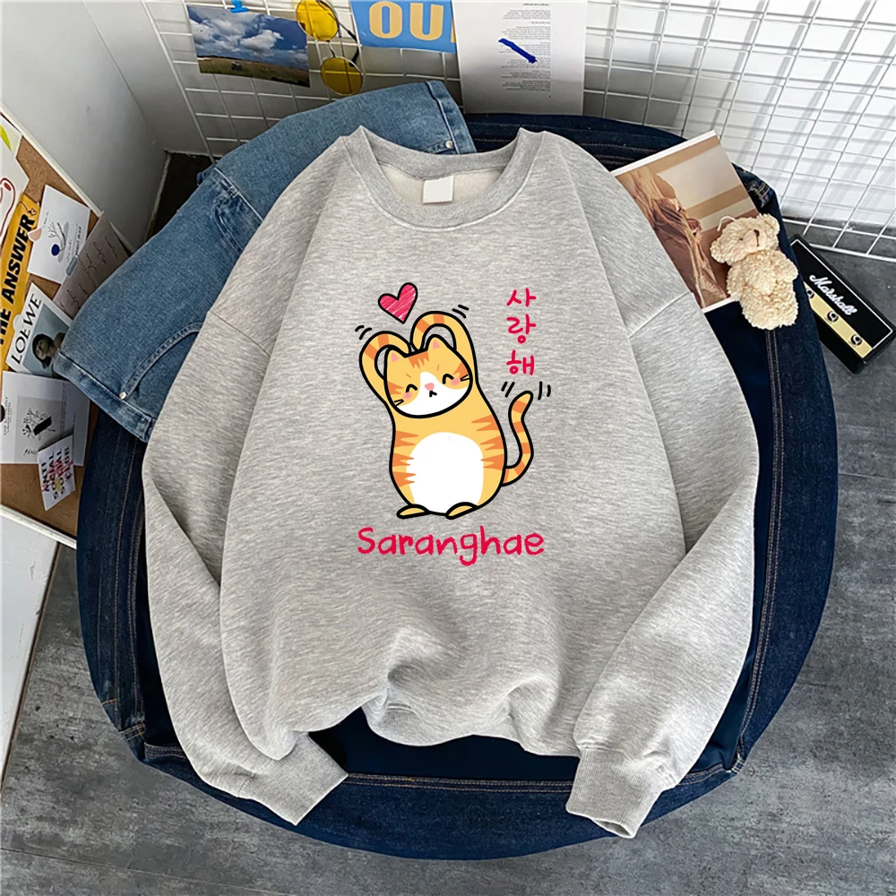 light gray korean kawaii cat sweatshirt kitty sweatshir