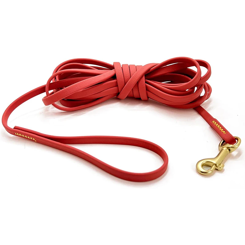Correa impermeable para perro