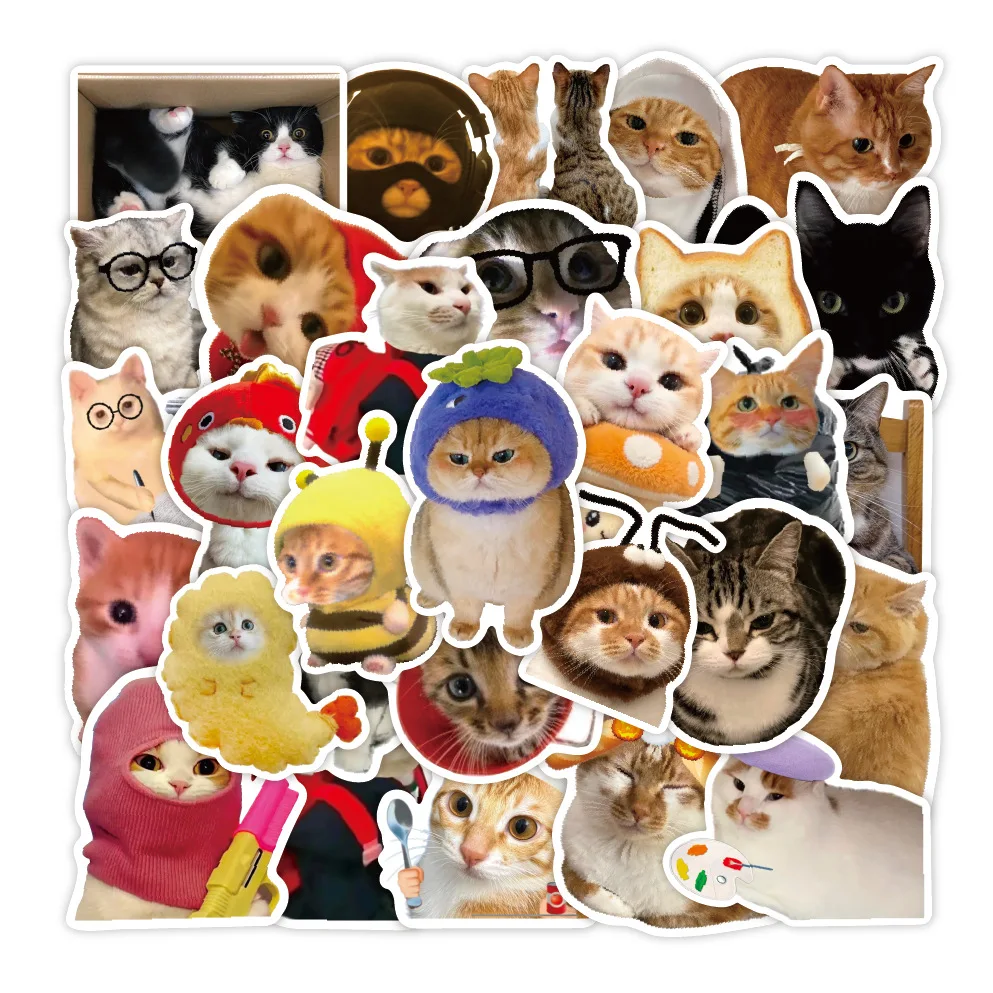 50개의 화난 고양이 스티커, 재미있는 고양이 표정 스티커, 어린이용 스티커, 문구용 스티커