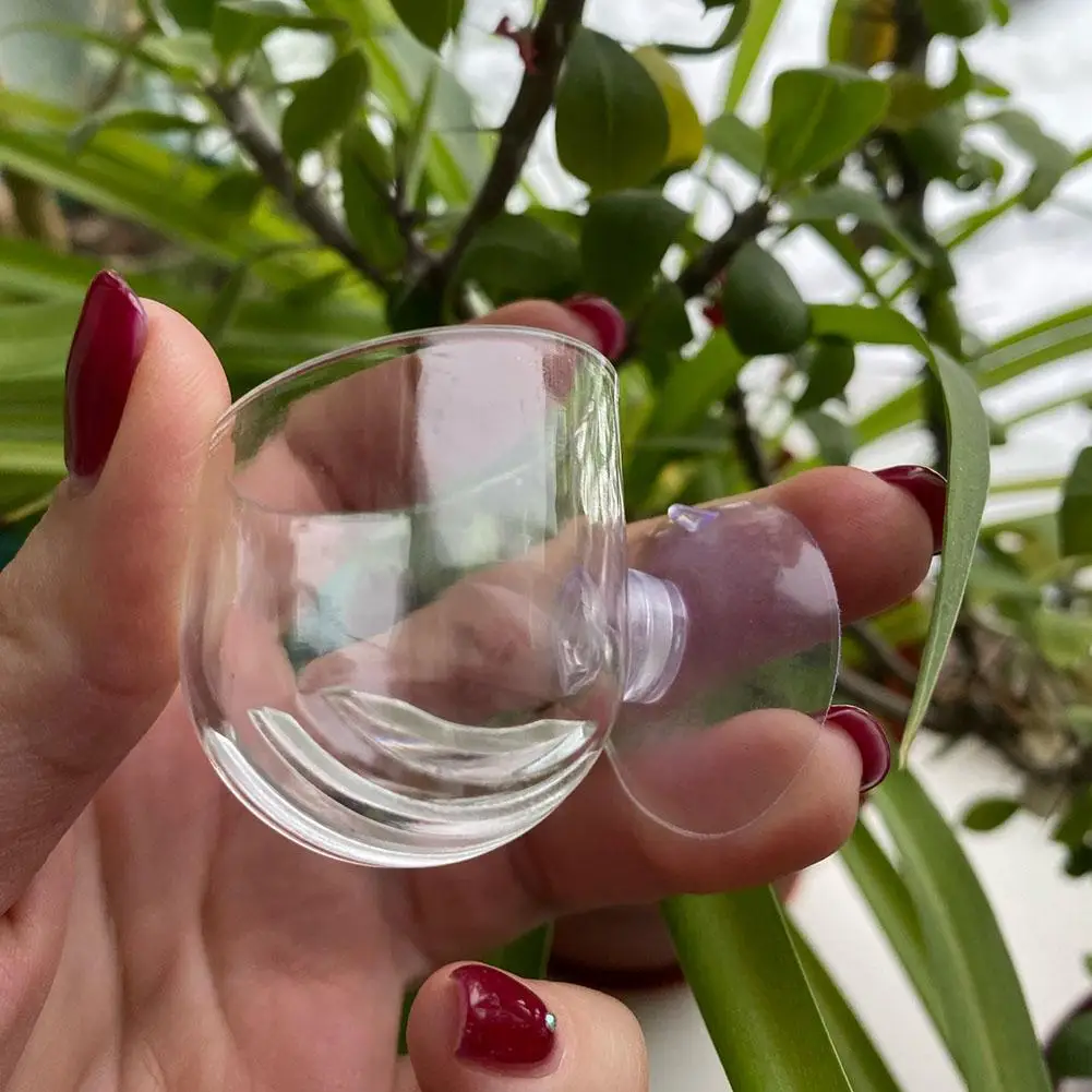 Title 8, Aquarium Decoration Plant Cup Pot Acrylic Water...