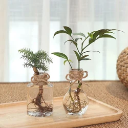Clear Plastic Hyacinth Vase Transparent Flower Plant Bottle Pot DIY Ornament Home Living Room Garden Decoration Flowerpot New