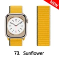 73 sunflower