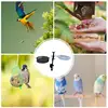 Bird Feeder For Deck Railing Deck Mounted Bird Feeder With Mesh Tray 360-Degree Rotatable Feeding Station Flower Pot Stand For 5