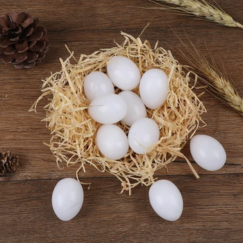 Pigeon Dummy Fake Eggs 3
