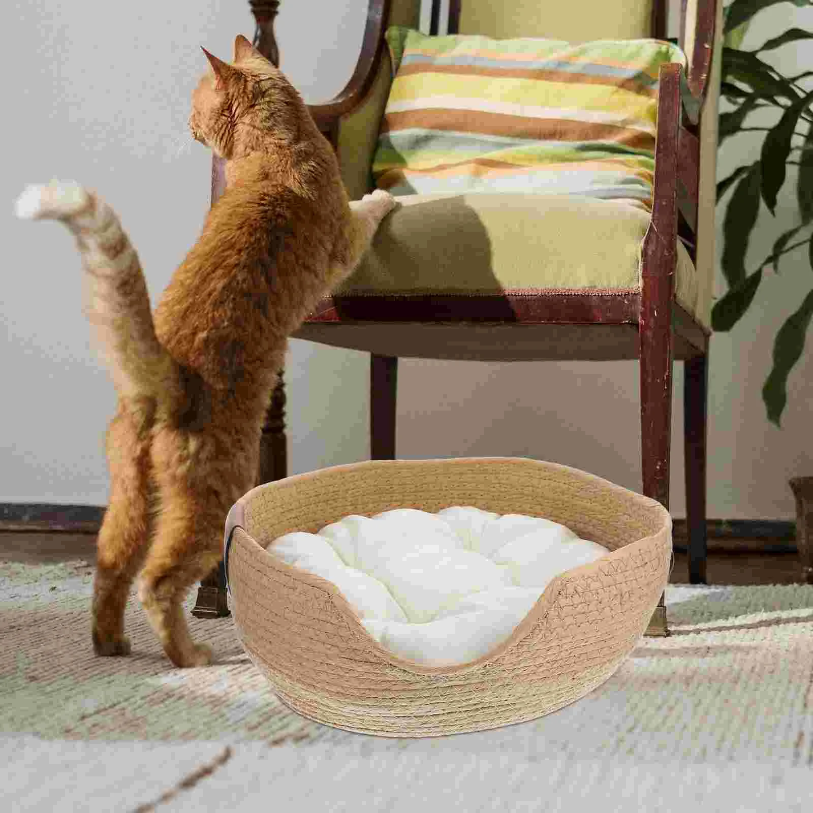 https://ae01.alicdn.com/kf/Sa2d2f69182d147f9bbf6e91411a10bcdS/Pet-Beds-For-Small-Dogs-Straw-Nest-Pet-Sleeping-Kitten-Bed-Cotton-Mat-Cat-Supply-Cattail.jpg