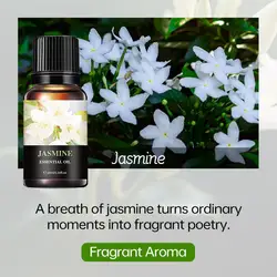 Water Soluble Fragrance Oils Set - 15 Aromatic Scents for Home, Car & Diffuser, 10ml Each (Jasmine)
