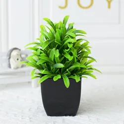 Mini Artificial Eucalyptus Plant in Black Pot (C)