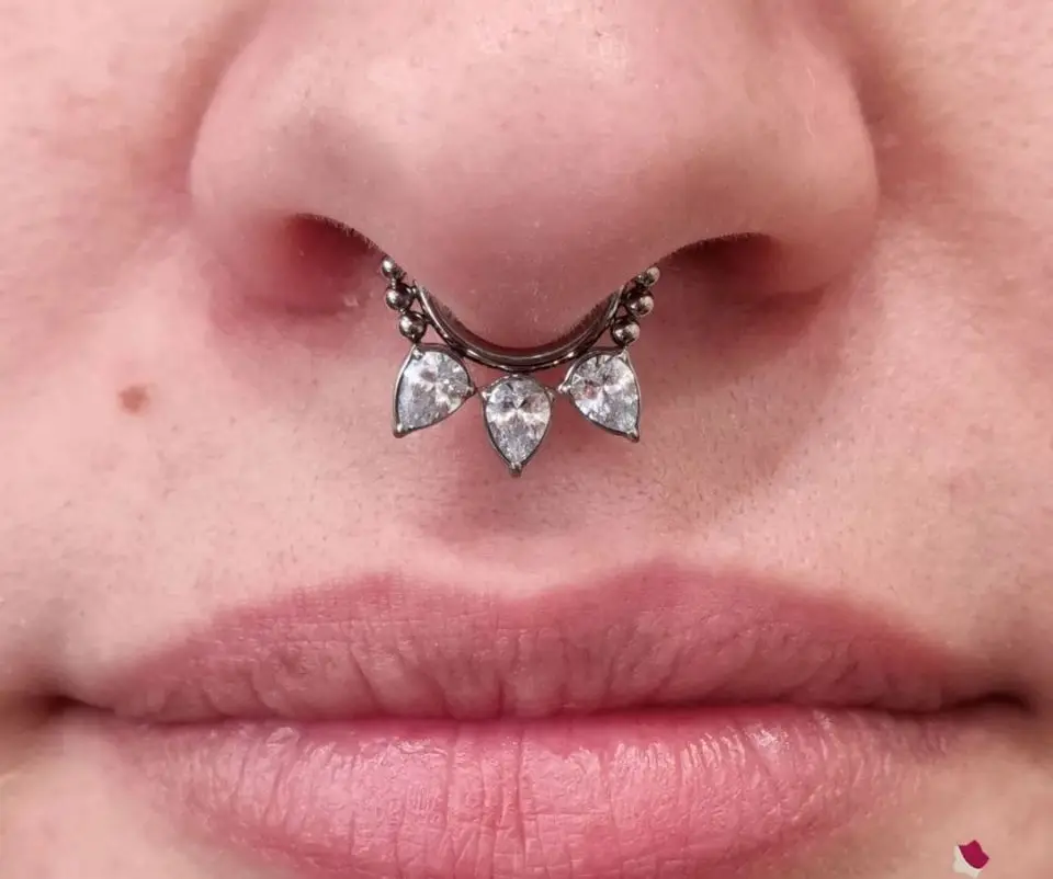 16G Implant Grade Titanium Hinged Segment Ring Clicker for Nose Daith Septum Earring Piercing Jewelry with CZ Gem