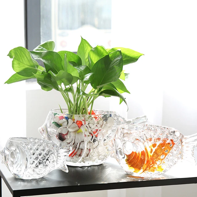 Transparent Glass Vase with Fish Flower Arrangement Plant Green Pineapple  Hydroponic Container, Tabletop Decoration - AliExpress