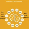 1/2/3Pc Left And Right Brain Development Wooden Toy for Stimulating Eye-Hand Coordination Autistic Child Classroom Teaching Aids 5