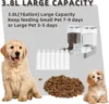 Dog Feeder Cat Water Dispenser Automatic Cat Feeder and Cat Water Dispenser Gravity Cat Feeder Food Storage Dispenser Container 4
