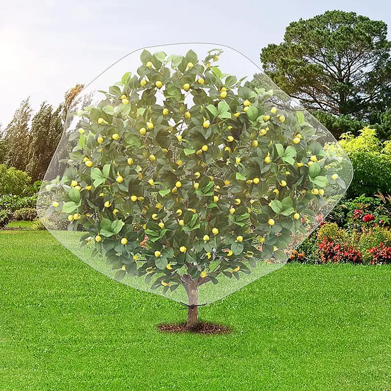 60mesh Garten netz für Pflanzen Insekten vogel netz Schädlings barriere Tomaten schutzhülle Obst