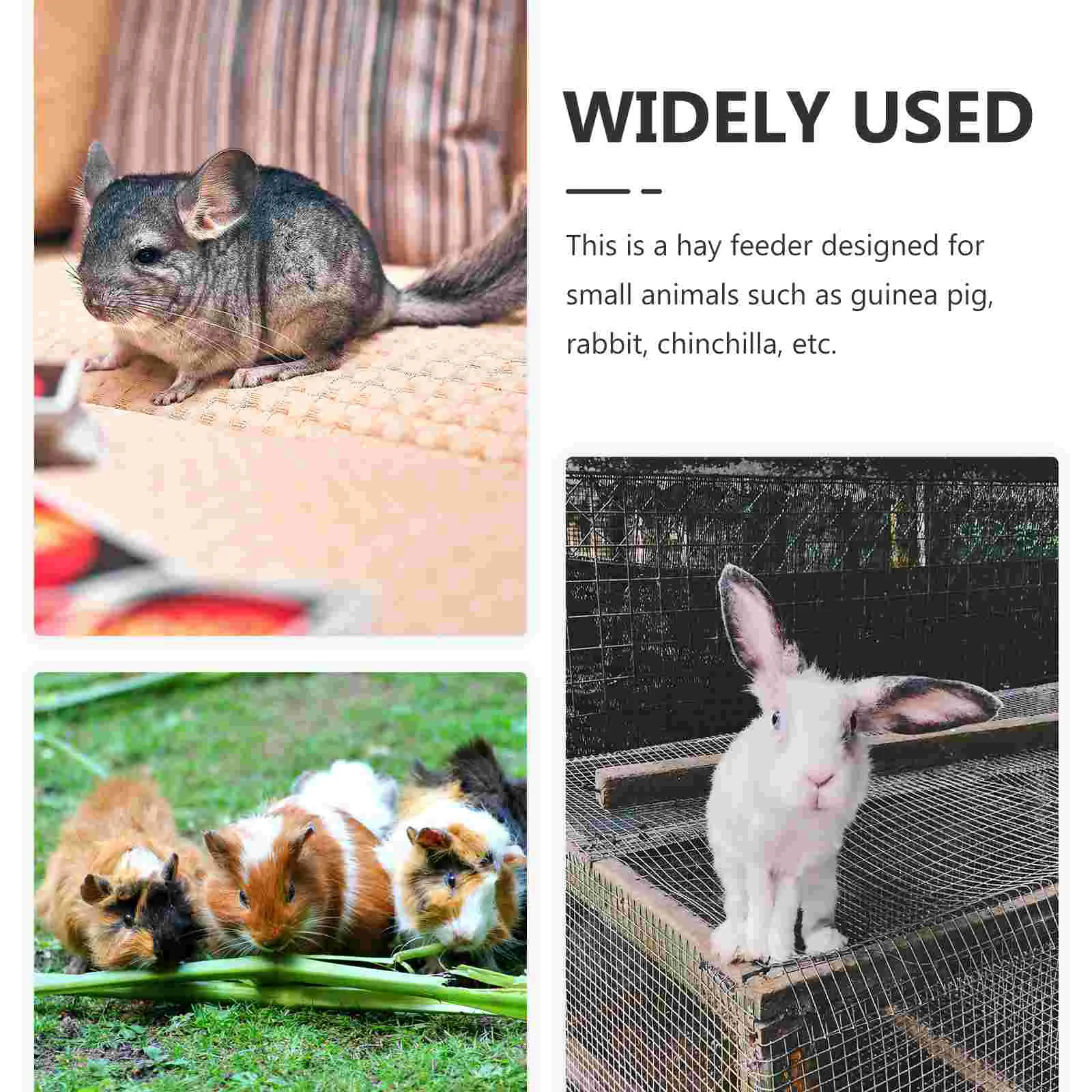 Bunny Feeder Rabbit Feeder Hamster Wooden Container Wood