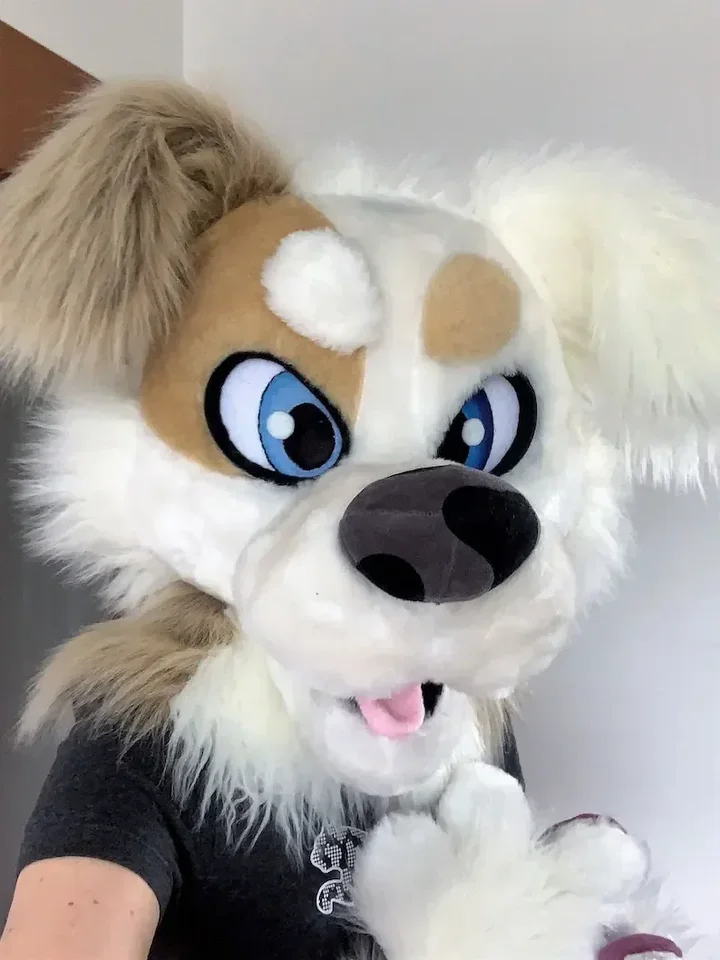 Costume Mascotte Tête De Husky / Renard Fourrure Longue - Personnalisable - Halloween