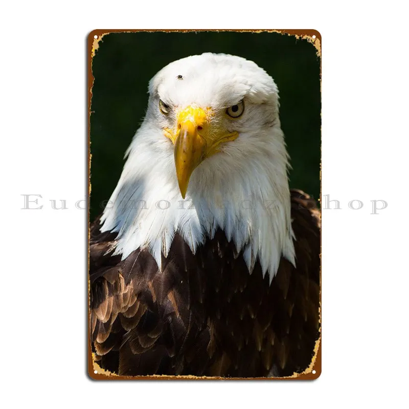 

The Look Of A Bald Eagle Metal Sign Funny Wall Decor Bar Cave Print Cinema Tin Sign Poster