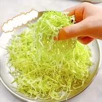 Trancheur de légumes râpe chou râpe trancheuse coupe broyeurs pour diverses manipulation d'ingrédients Gadget de cuisine multifonctionnel 3