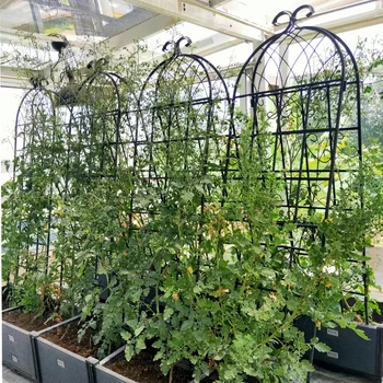 2 Pack Metal Garden Trellis 71" x 19.7" Rustproof Trellis for Climbing Plants Outdoor Flower Support Black 1