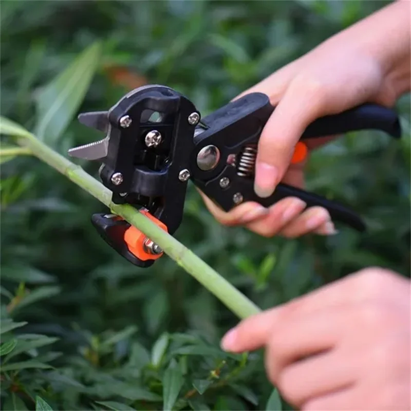 Tijeras de podar profesionales para agricultura, tijeras de injerto para árboles frutales de jardín, cuchillo de corte, herramienta de mano, 1 Juego