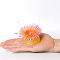 Sea Anemones -1