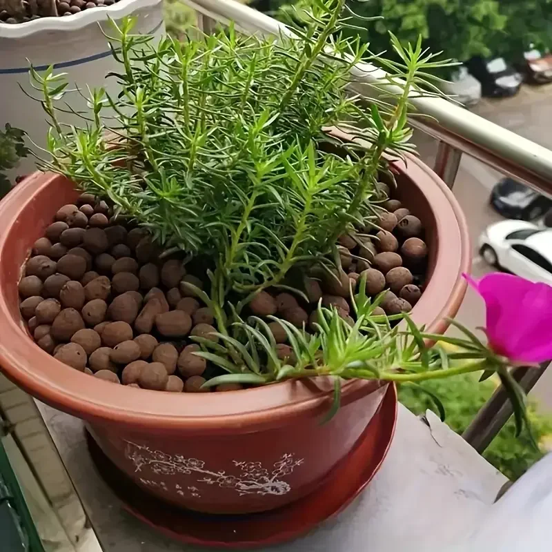 Garden Hydroponic Expanded Clay Pebbles for Growing Media