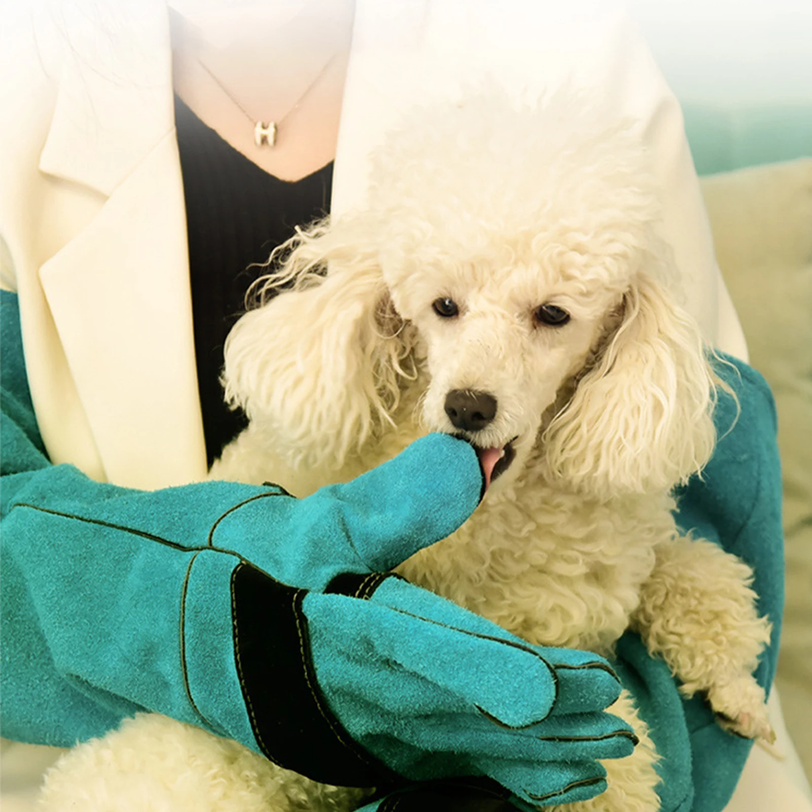 Animal Handling Gloves Durable Anti-Bite Leather Protective Gloves Thick And Durable Pet Feeding Protective For Small