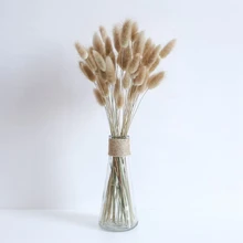 Natural Bunny Tail Grass Boho Fluffy White Pampas Grass Small Reeds Dried Flowers Bouquet Boho Indoor Living Room Decoration