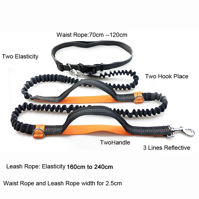 Hands-Free Reflective Dog Running Leash with Dual Handles 2