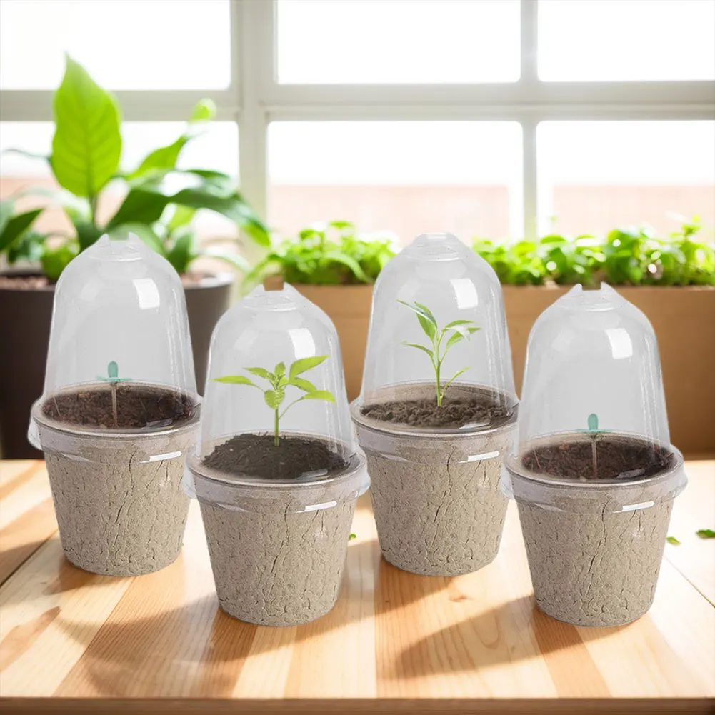 Eco-Friendly Seedling Cups with Transparent Dome for Germination Biodegradable Garden Planters 10 Pcs Set