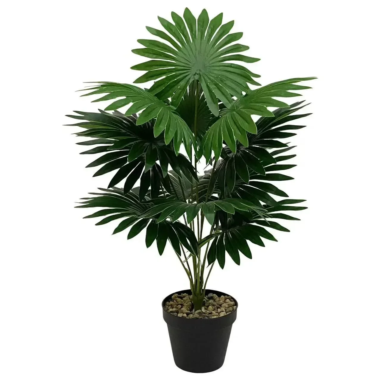 微信图片_20250101175246_副本