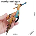 Seadragon