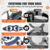 Sa2fbb57877694fb2a13f7abdea07cde7A.jpg SucceBuy 2 Wheels Dog Wheelchair for Back Legs Pet Wheelchair Dog Cart/Wheelchair for Disabled Paralysis Hind Limb Weak Pet