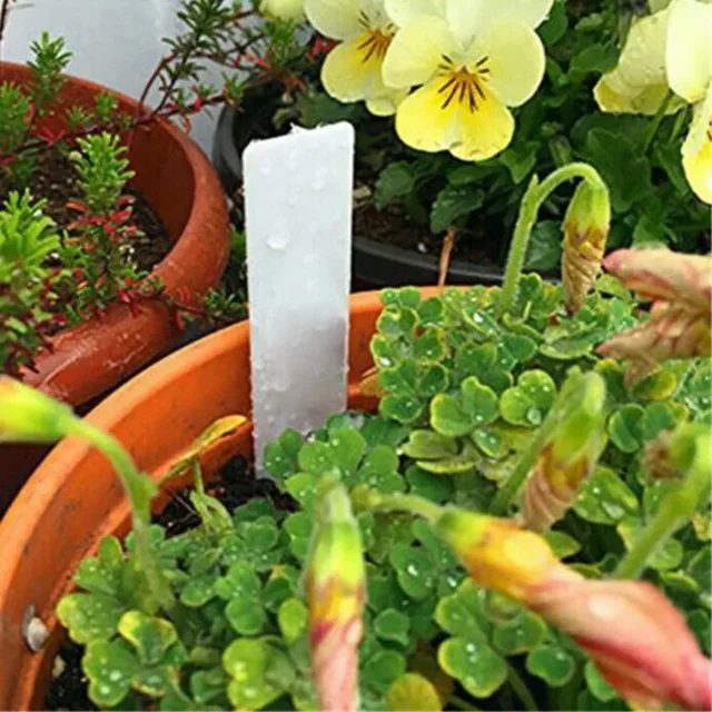 100PCS White Waterproof Plant Labels Plastic Garden Labels For Planting Nursery Seedling Tray Markers DIY Garden Decorating Tool 3