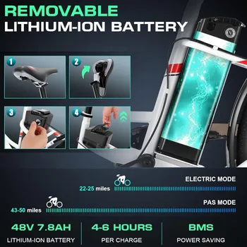 Electric Bike, 1000W Peak Ebike 22MPH Electric Bike for Adults, 48V Removable Battery, Cruise Control, 26 4