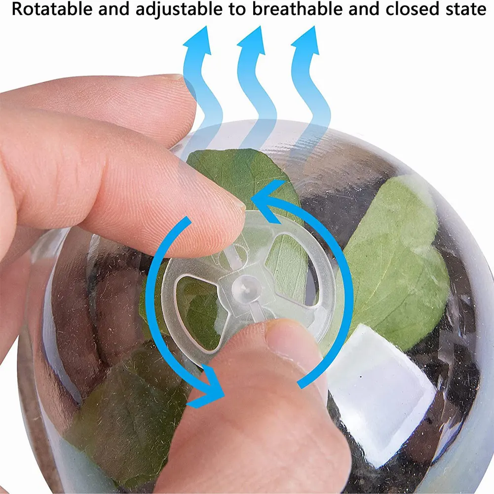 10Pcs Seedling Cup Cultivation Pot Transparent Lid Germination Planter Biodegradable Greenhouse Breeding Box Gardening Supplies