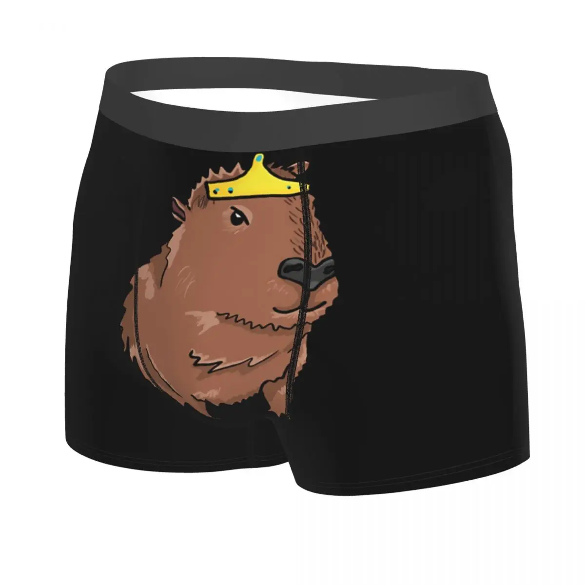 Miss Princess Man's Boxer Briefs Capybara Highly Breathable Underpants Top Quality Print Shorts Birthday Gifts 2