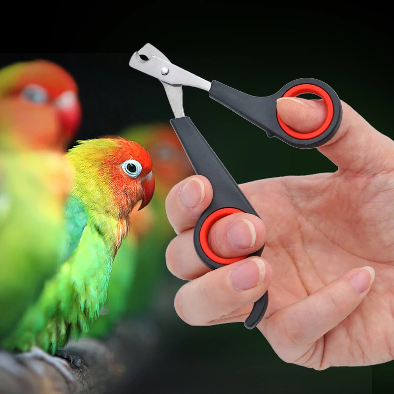 Pet Bird Parrot Small Animals Accessory Grooming Tool Nail Scissors Clipper Black And Red images - 6