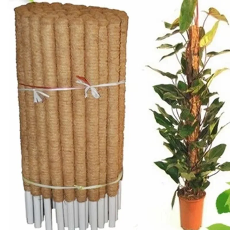 Plant Climbing Support Indoor Climbing Plants Stake Sphagnum Moss Coconut Fiber Creeper Frame