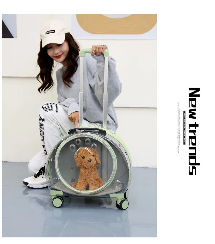 Title 60, Small Handbag Cats Carriers Transportin Outdoor...