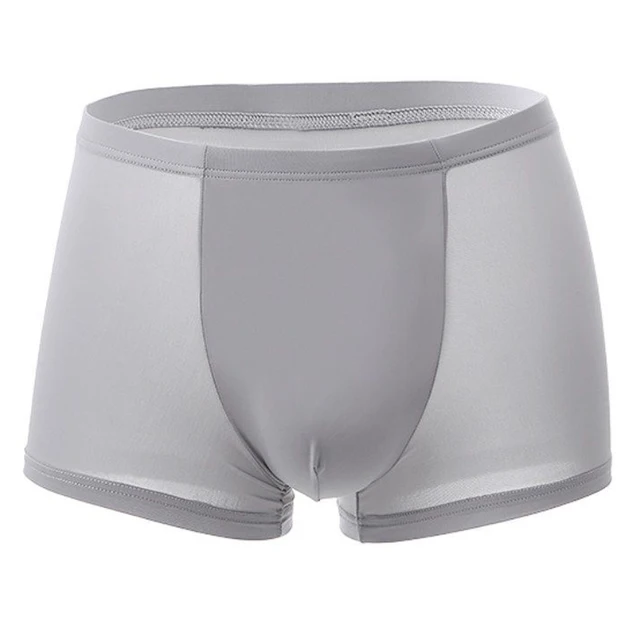 Good Healthy Men Ice Silks Breathable Underwear Seamless Quick Dry Briefs Shorts Trunks Underpants Gray