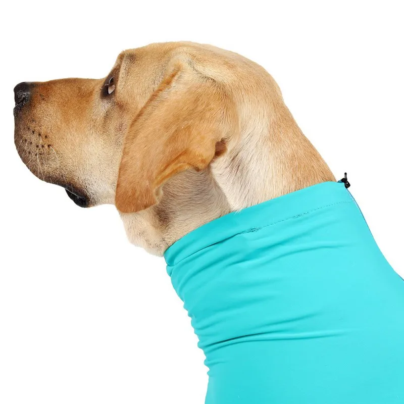 Comfortable Long Sleeved Pet Pajamas for Recovery