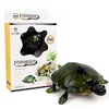 RC animal toys remote control simulation small tortoise crawl plaything electric sports infrared realistic walking glow gift boy 2