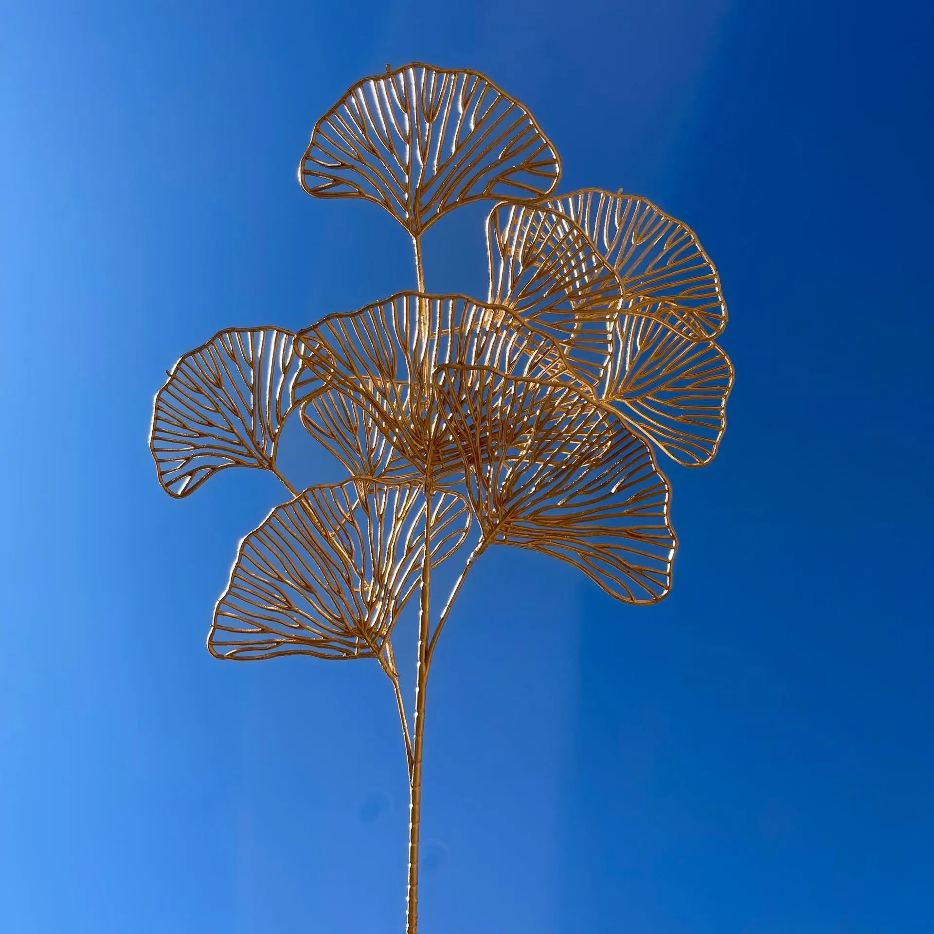 ginkgo leaf
