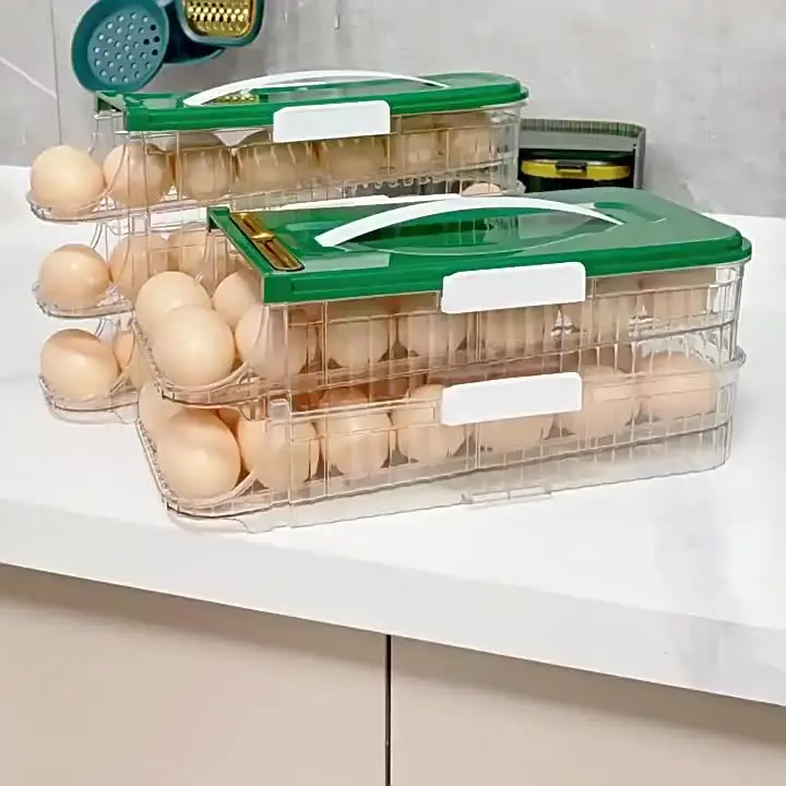 Plastic Egg Holder Refrigerator Egg Container At U20b9 90/piece | Egg Boxes In Surat | ID: 27470183212