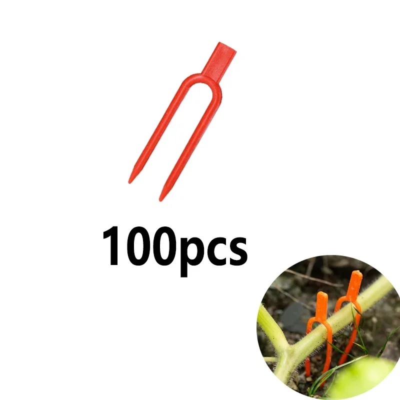 red-100pcs