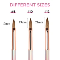 ANGNYA Kolinsky Acrylic Nail Brush 3D Pure Handmade Nail Art Brushes For Acrylic Application  For Diy Home Salon Size 8#10#12# 2